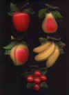 fruit.jpg (38771 bytes)